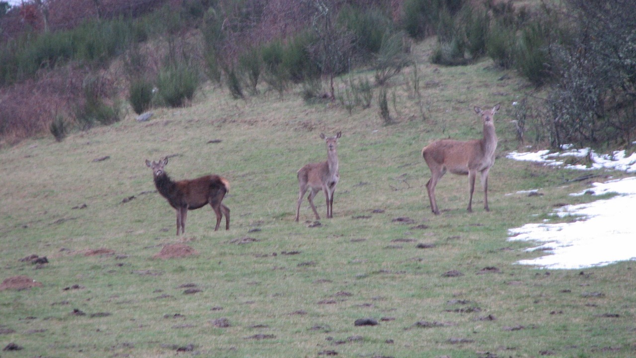 Photo of Outdoor in Lavastrie