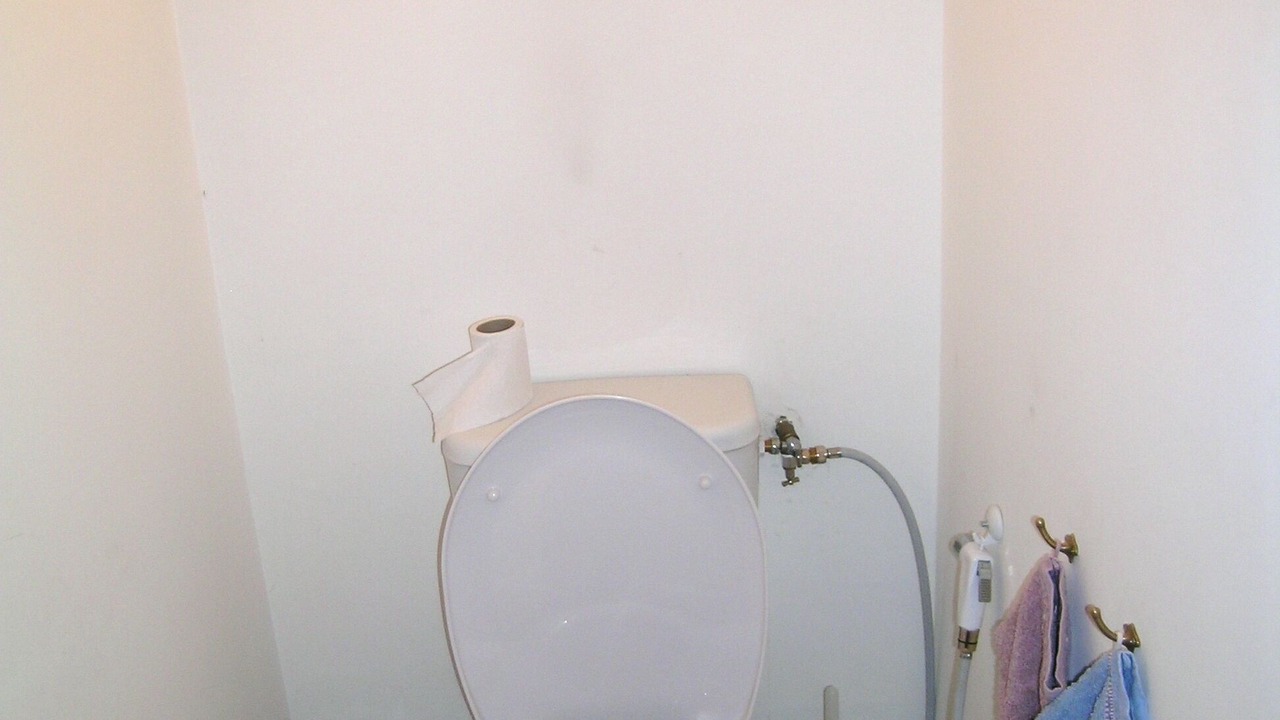 Photo of Bathroom in Chassigny-sous-Dun