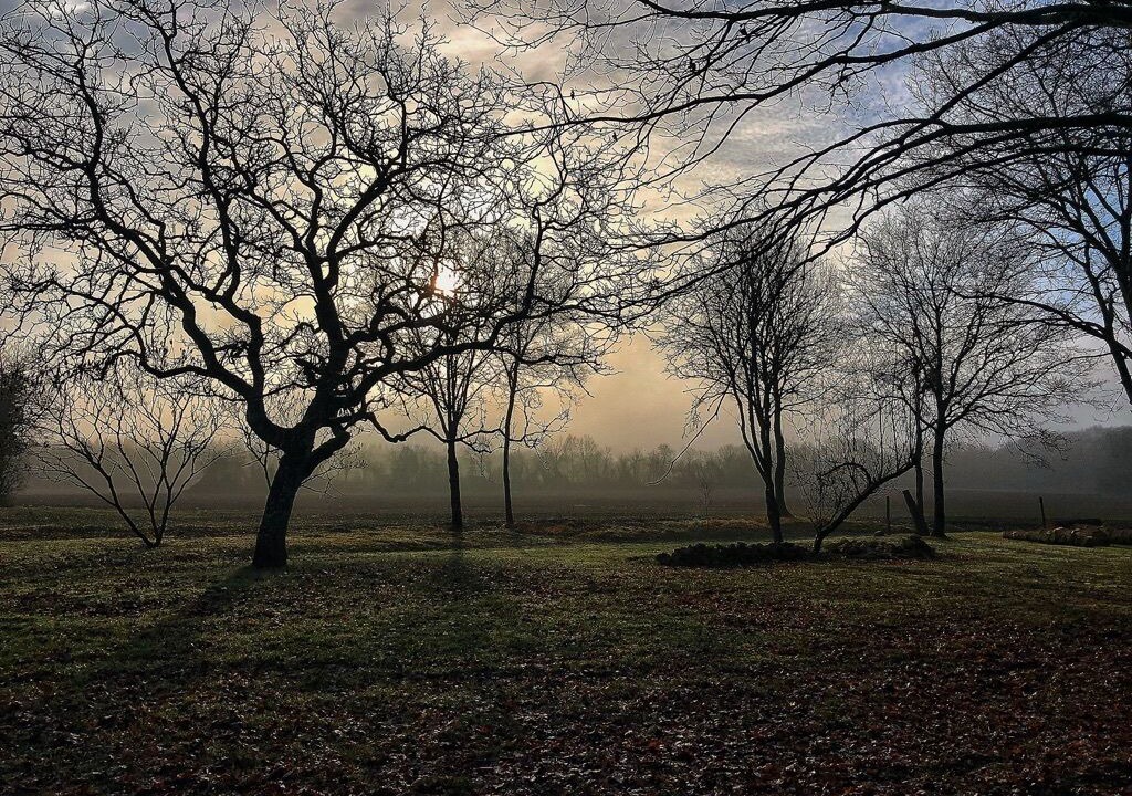Photo of Outdoor in Vezelay