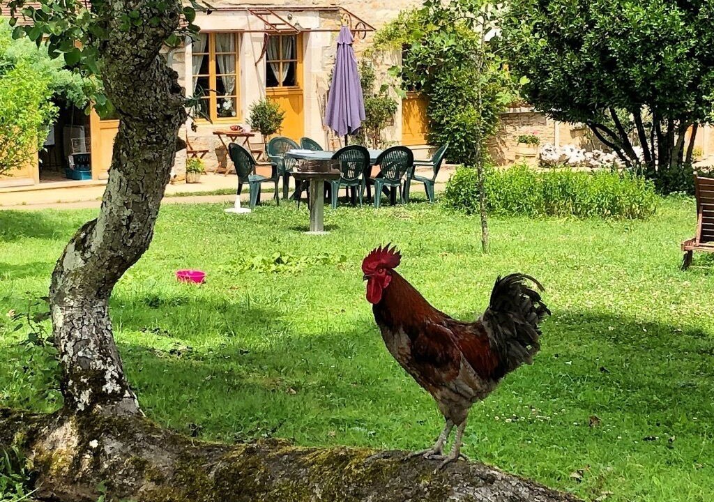 Photo of Outdoor in Vezelay