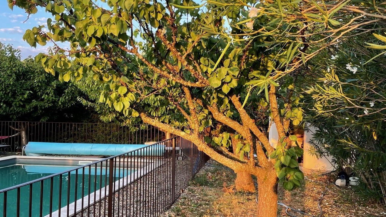 Photo of Outdoor in Beaumes-de-Venise