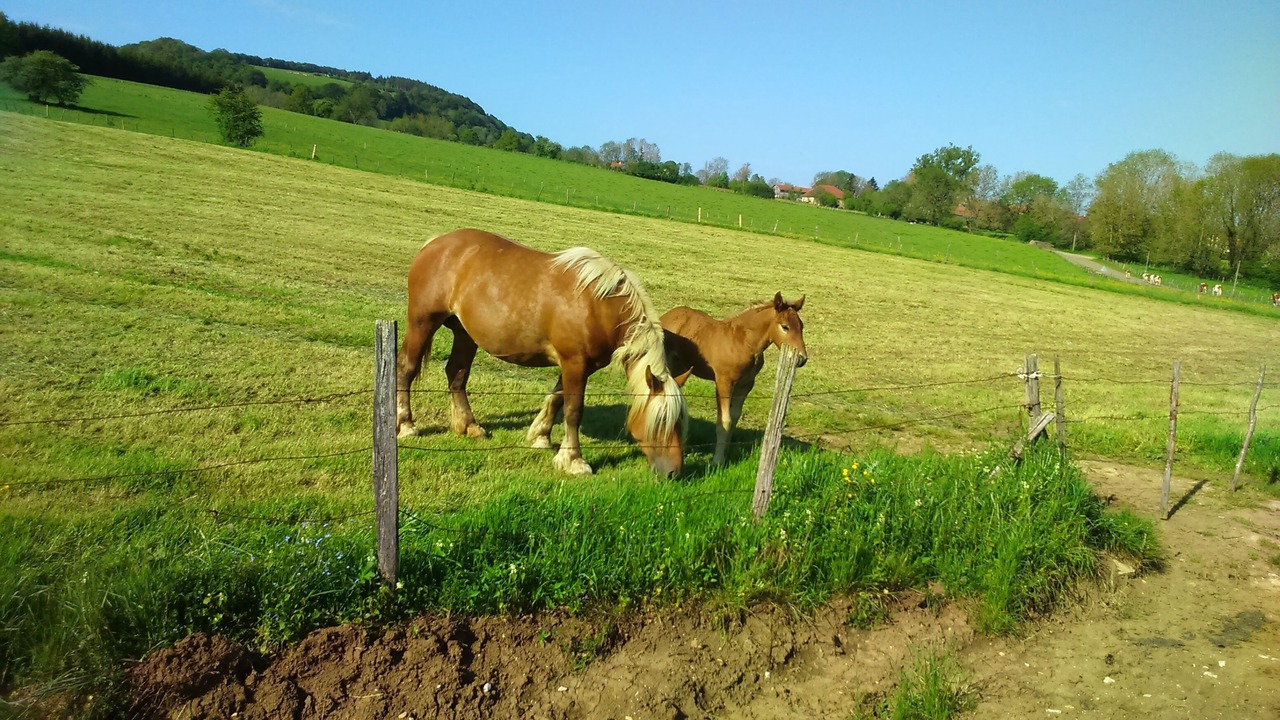 Photo of Outdoor in Arc-sous-Cicon
