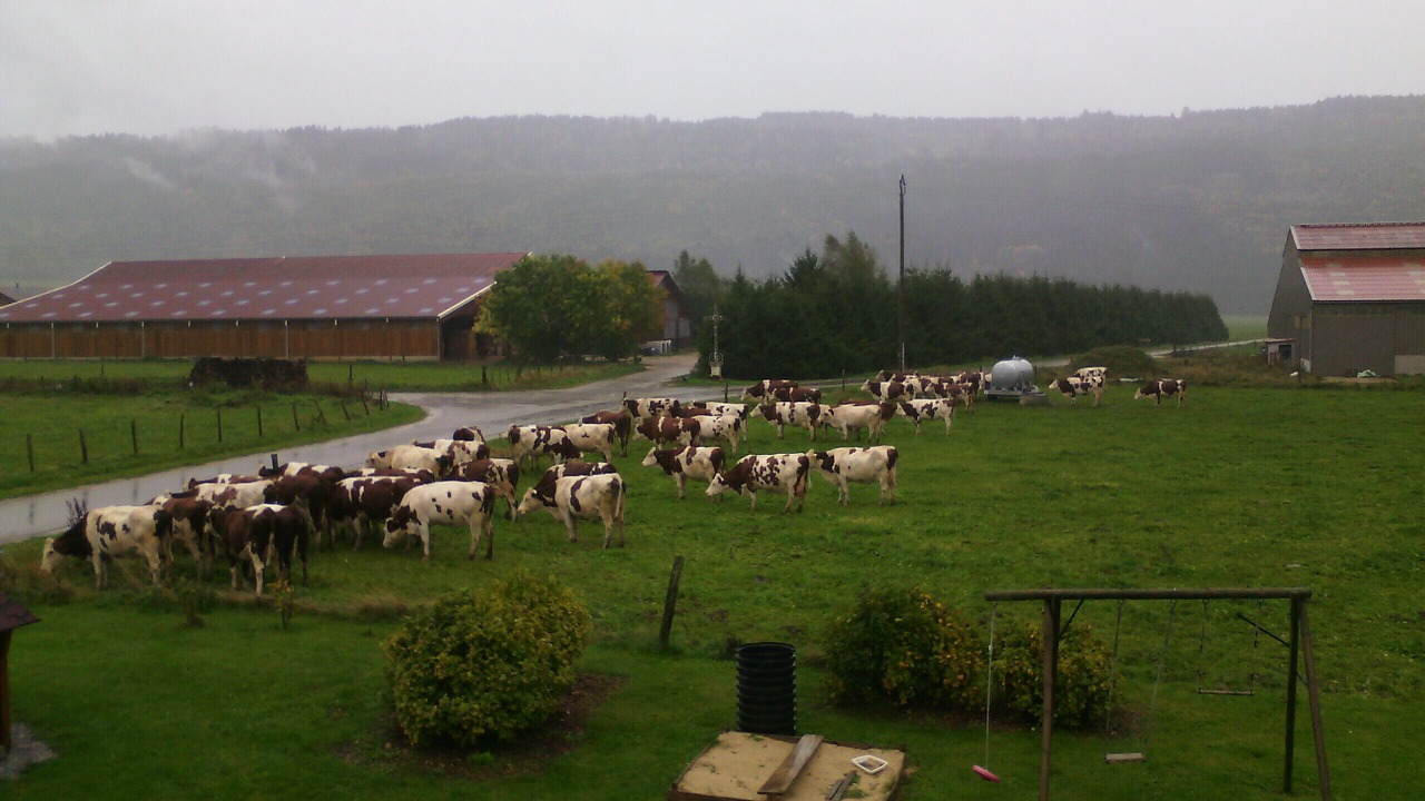 Photo of Outdoor in Arc-sous-Cicon