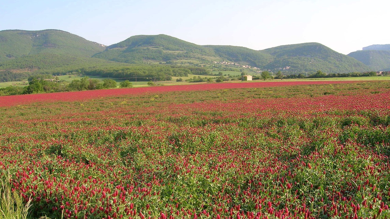 Photo of Outdoor in Beaufort-sur-Gervanne