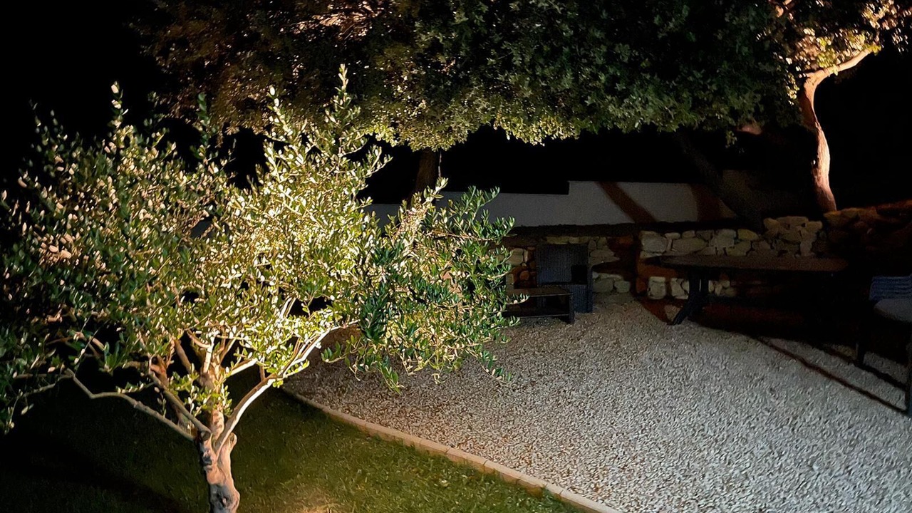 Photo of Outdoor in Puget