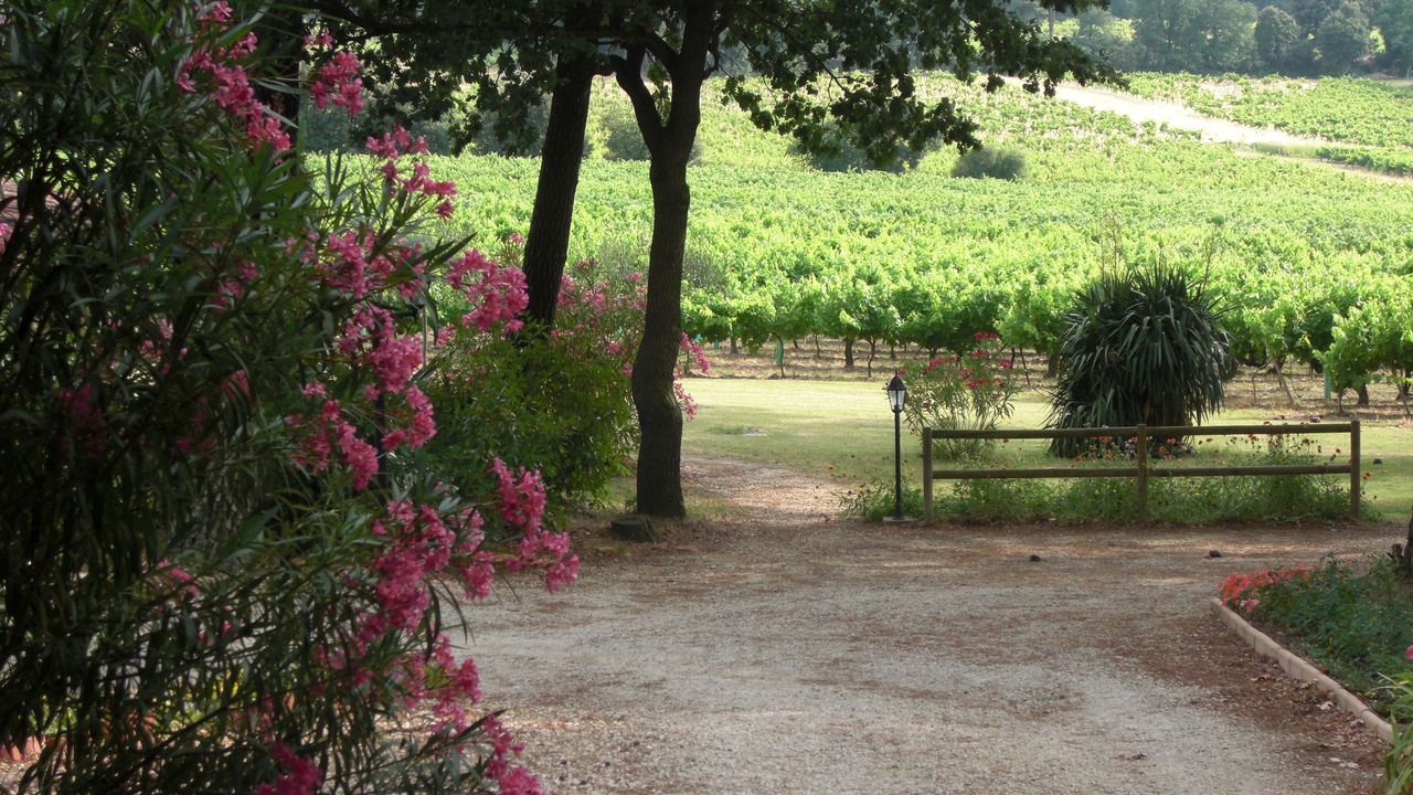 Photo of Outdoor in Bollene