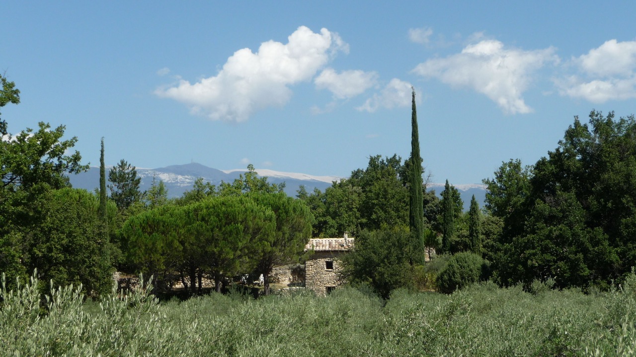 Photo of Others in Mormoiron