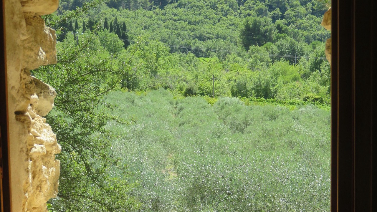 Photo of Others in Mormoiron