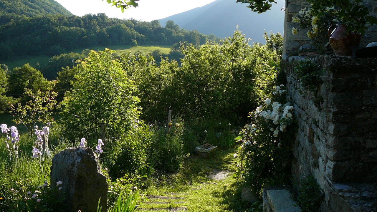 Photo of Outdoor in Vesc