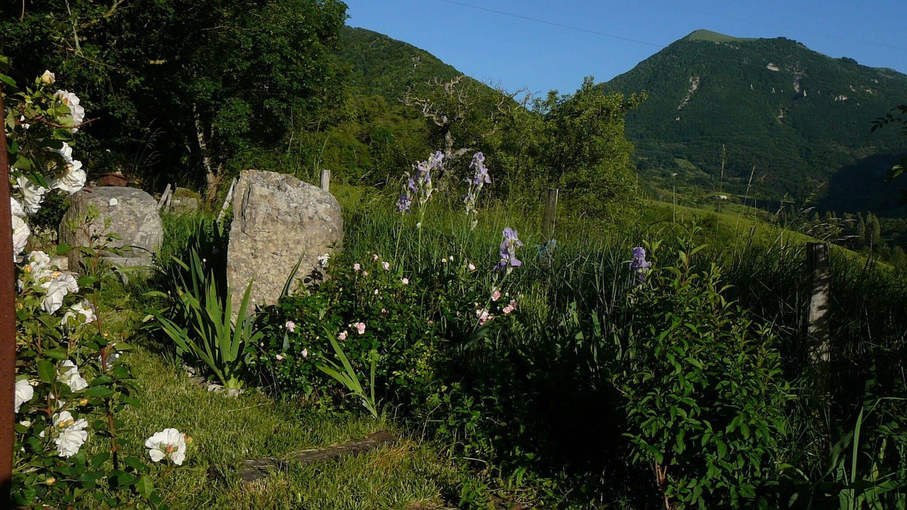 Photo of Outdoor in Vesc