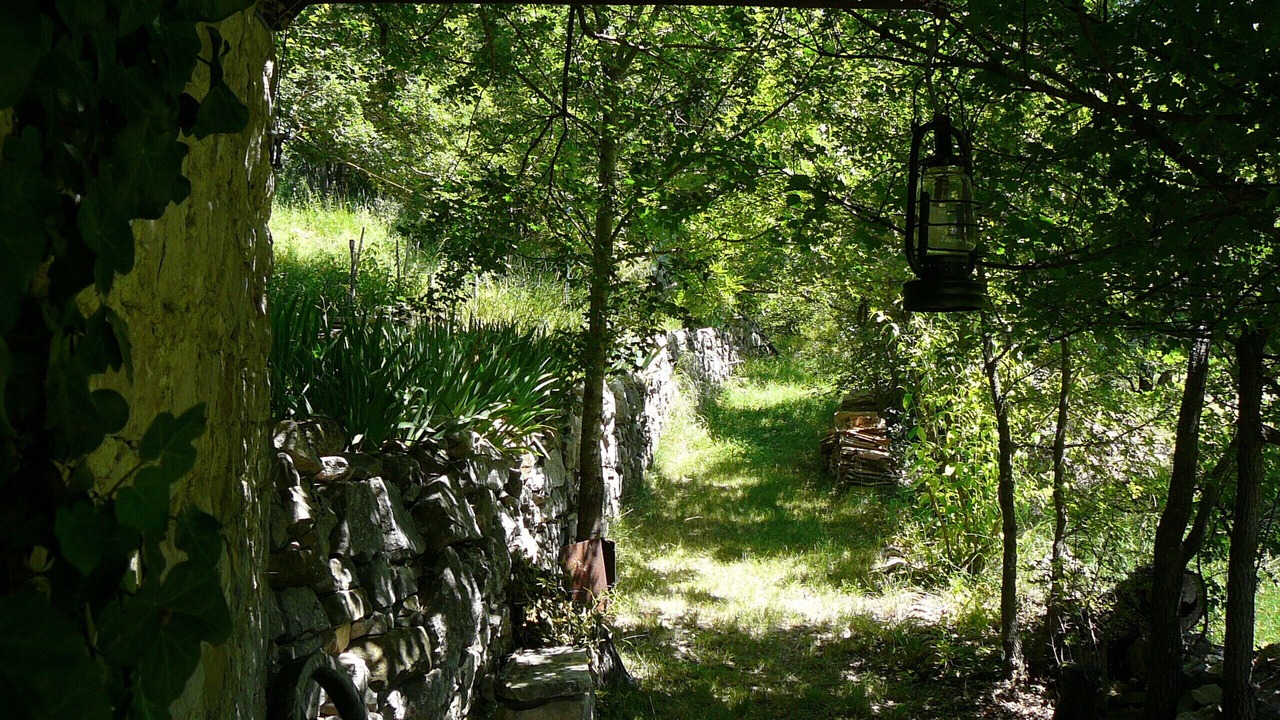 Photo of Outdoor in Vesc