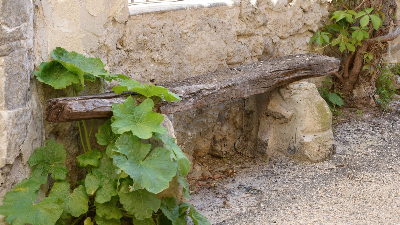 Photo of Outdoor in Venterol