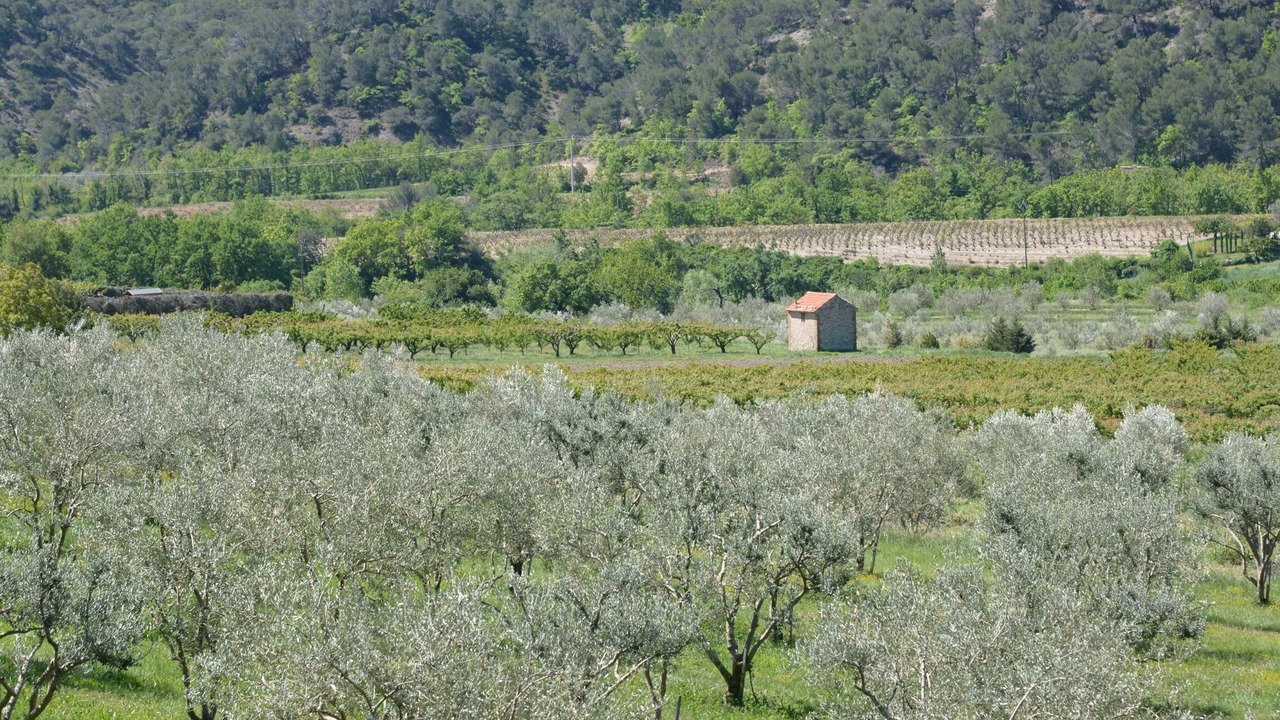 Photo of Outdoor in Venterol