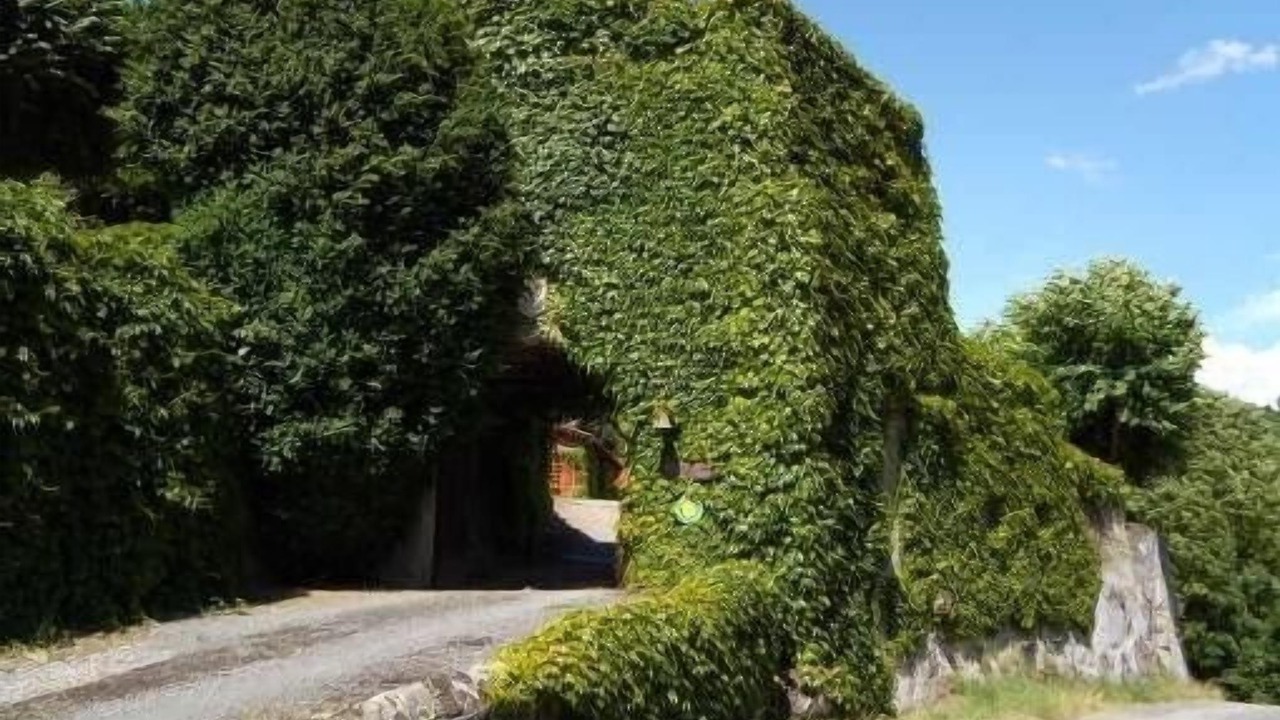 Photo of Outdoor in Brullioles