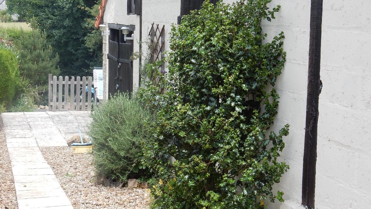 Photo of Outdoor in Limanton