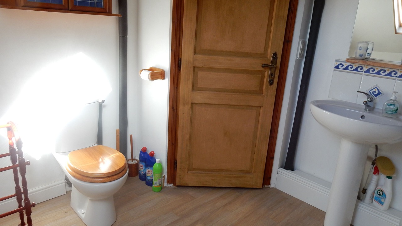 Photo of Bathroom in Limanton