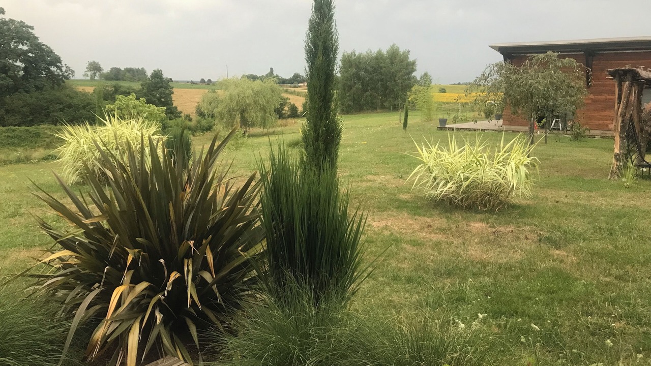 Photo of Outdoor in Dampierre