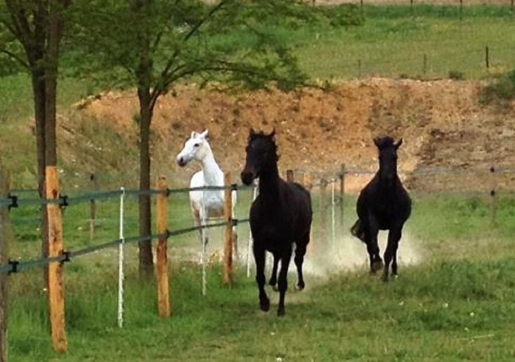 Photo of Outdoor in Dampierre