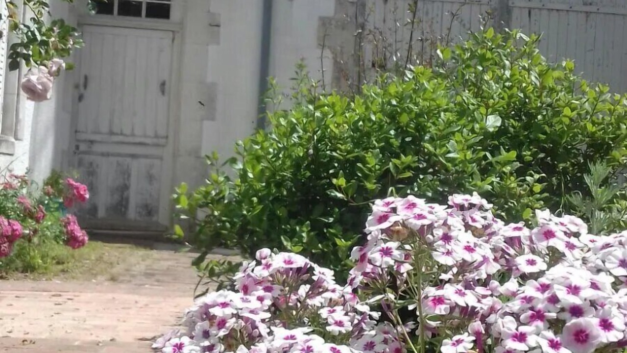 Photo of Outdoor in Sementron