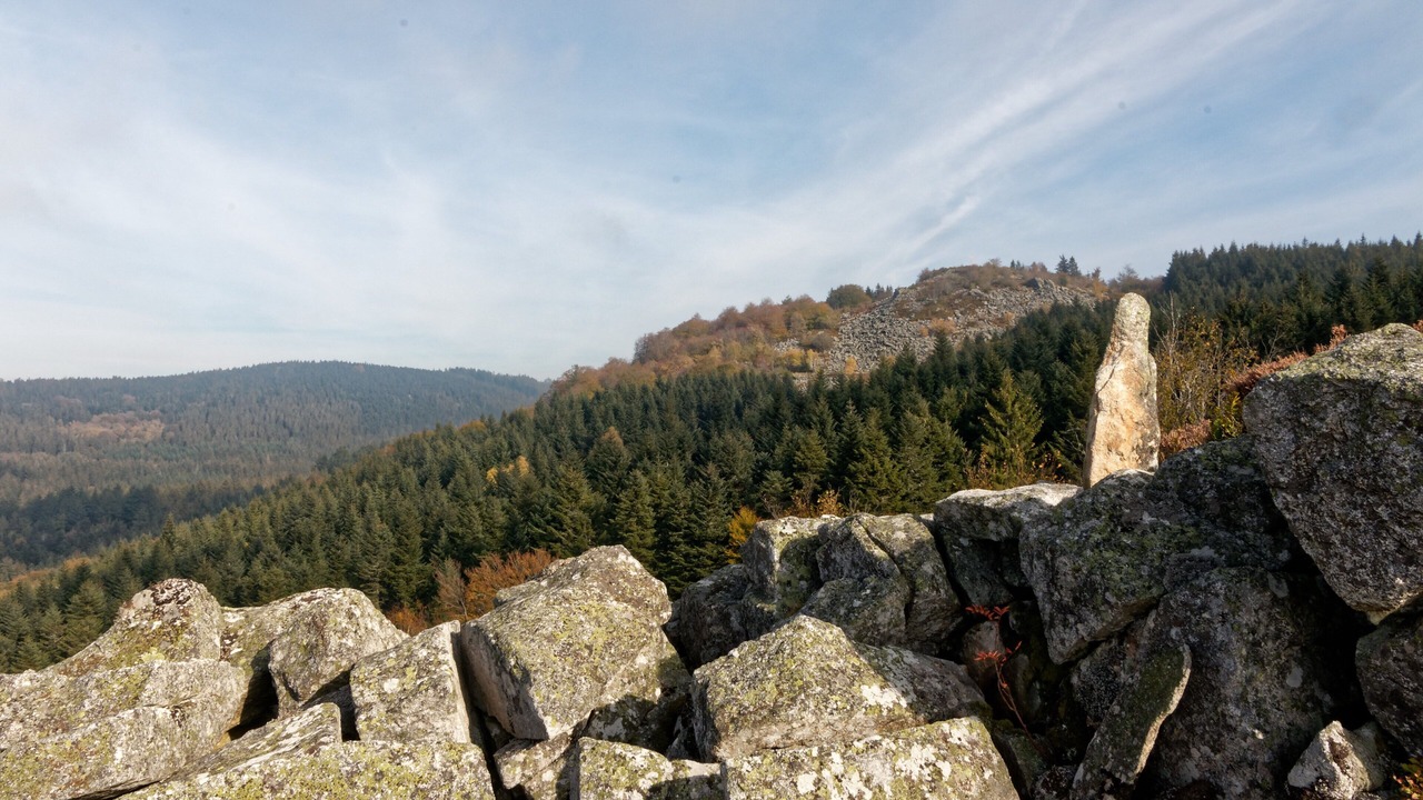 Photo of Outdoor in Sauviat