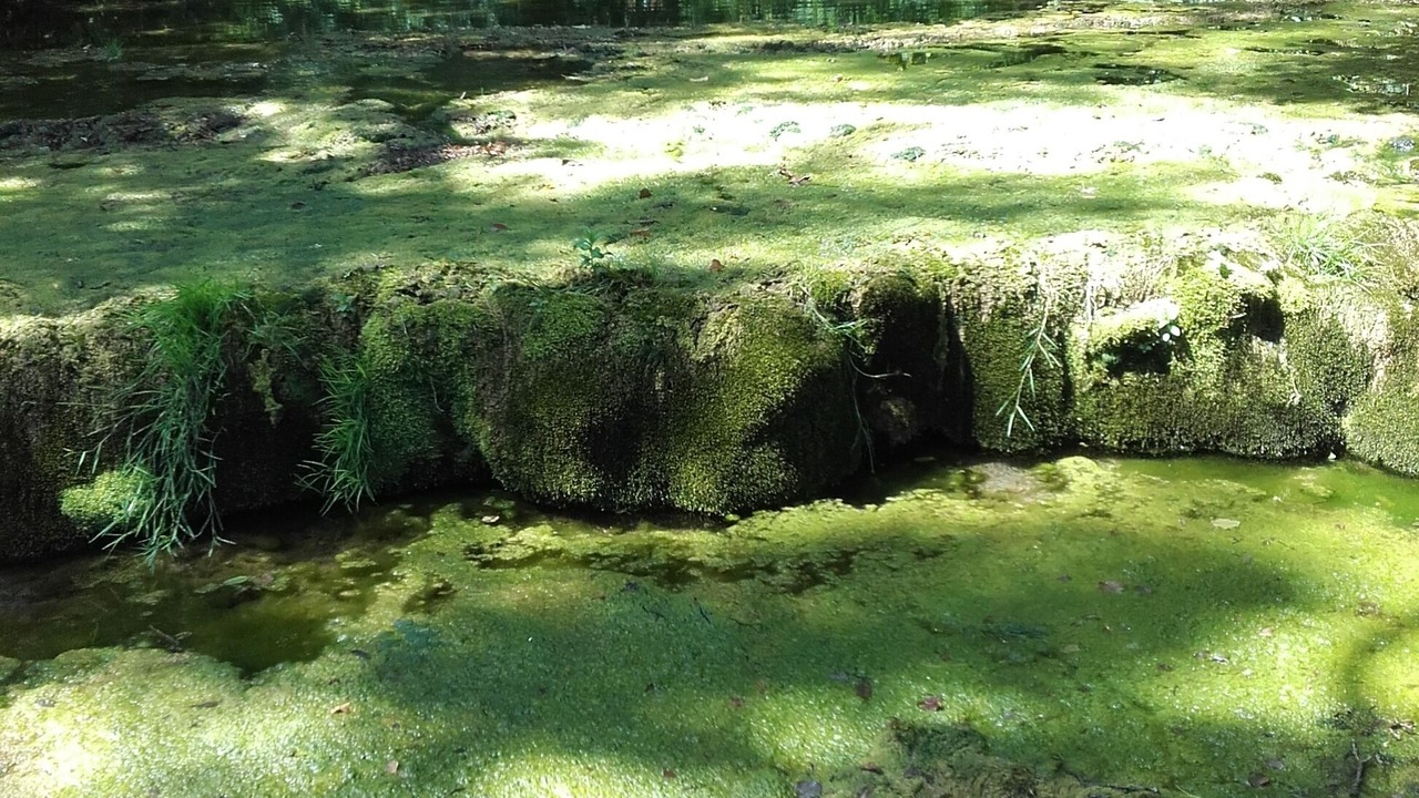 Photo of Outdoor in Publy