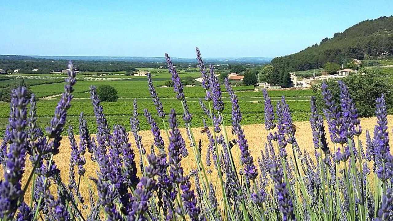 Photo of Outdoor in Mazan