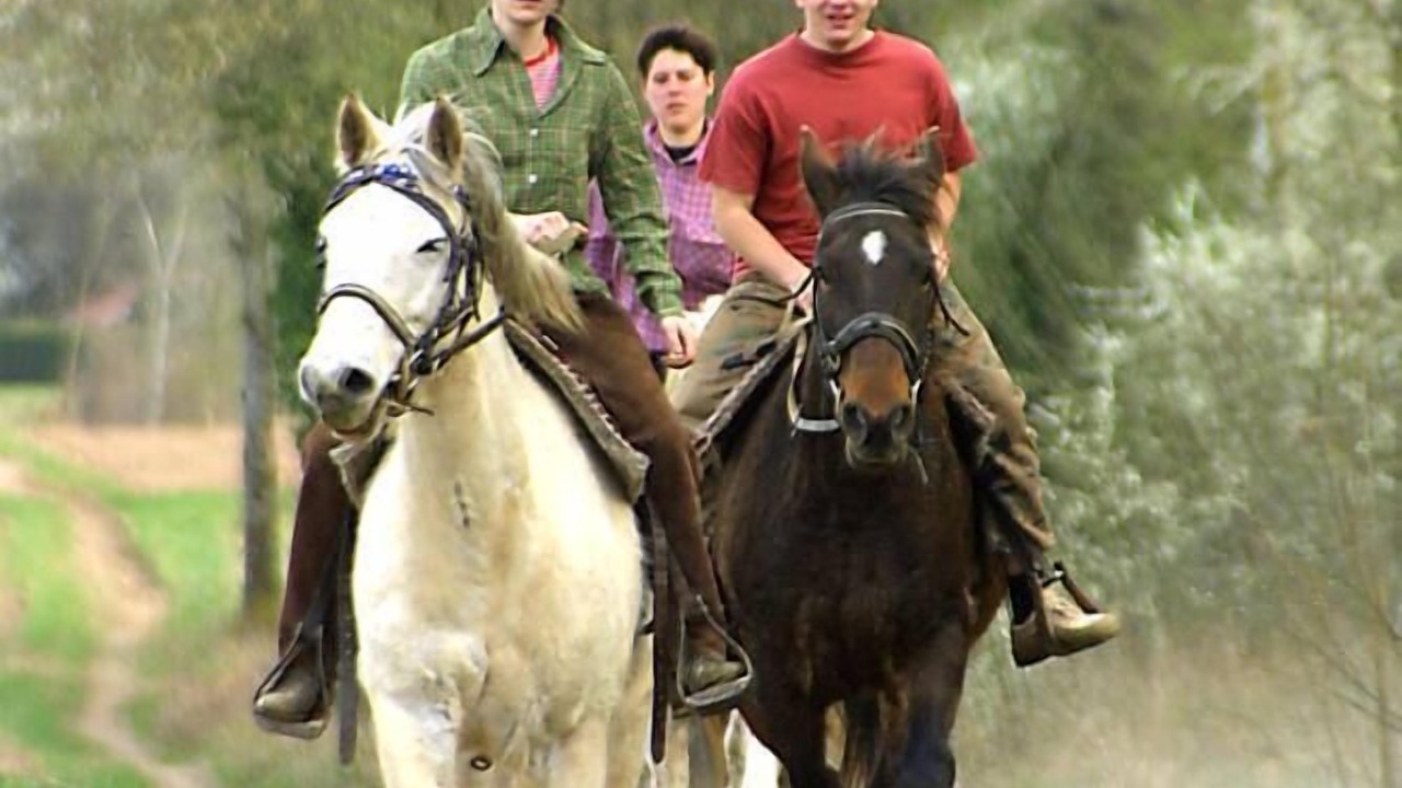 Photo of Others in Mondon