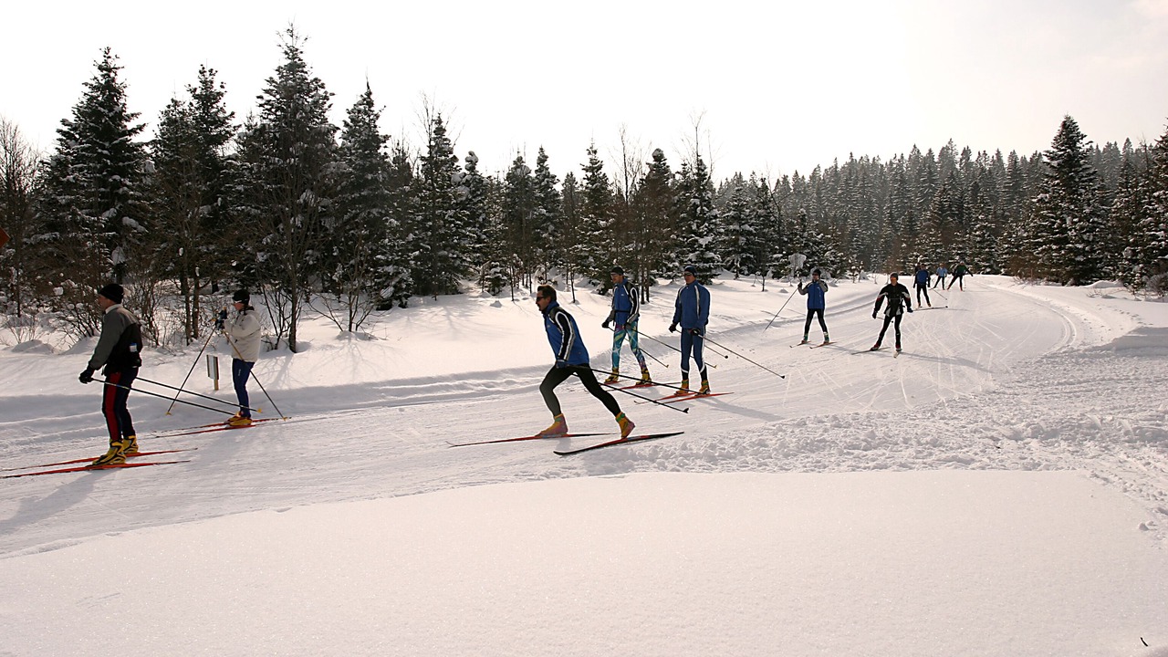 Photo of Others in Mondon