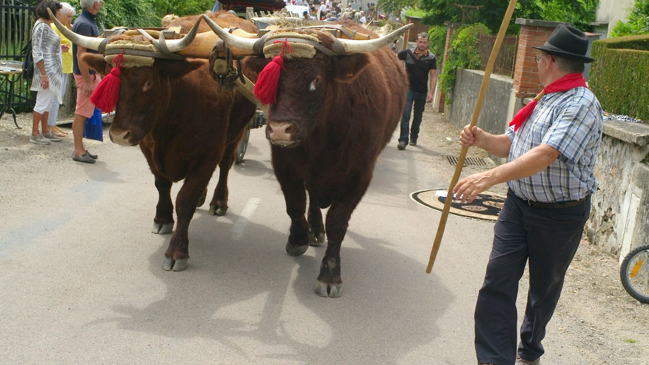Photo of Others in Saint-Agnan