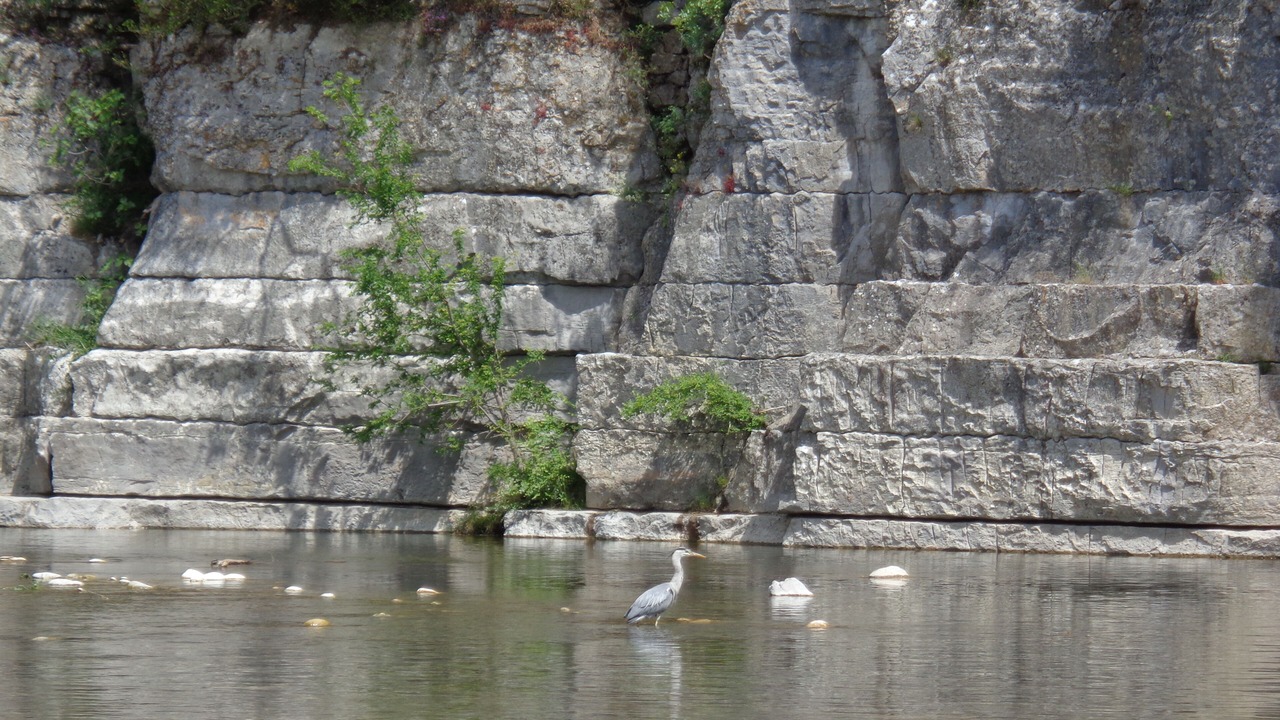 Photo of Others in Lavilledieu