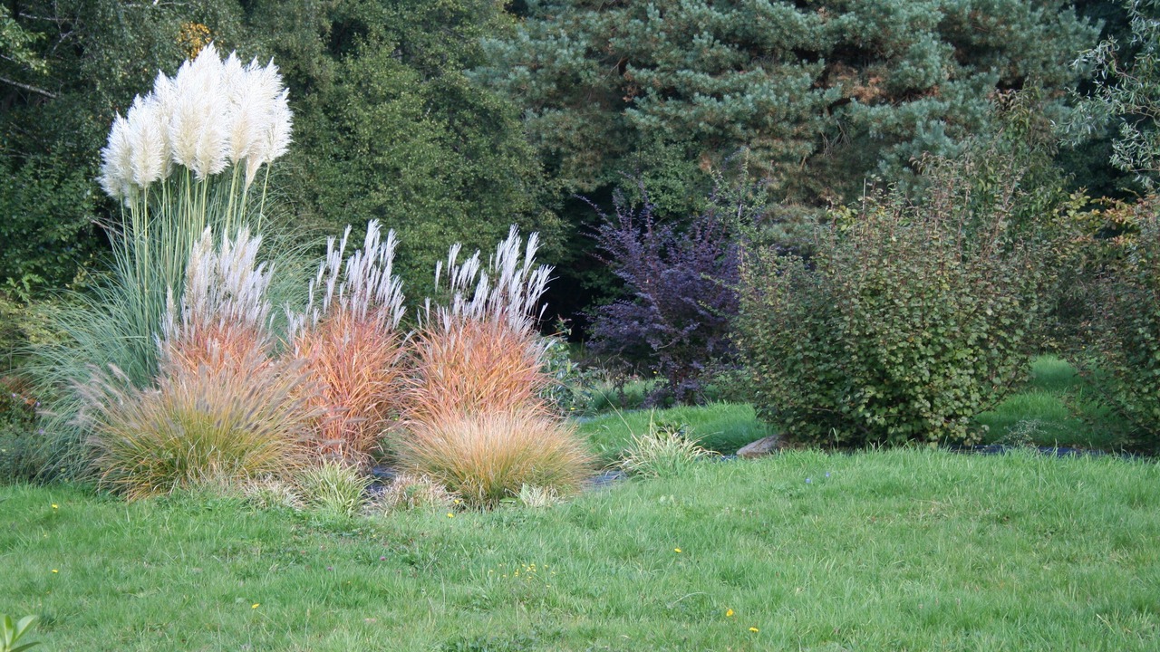 Photo of Outdoor in Le Clerjus