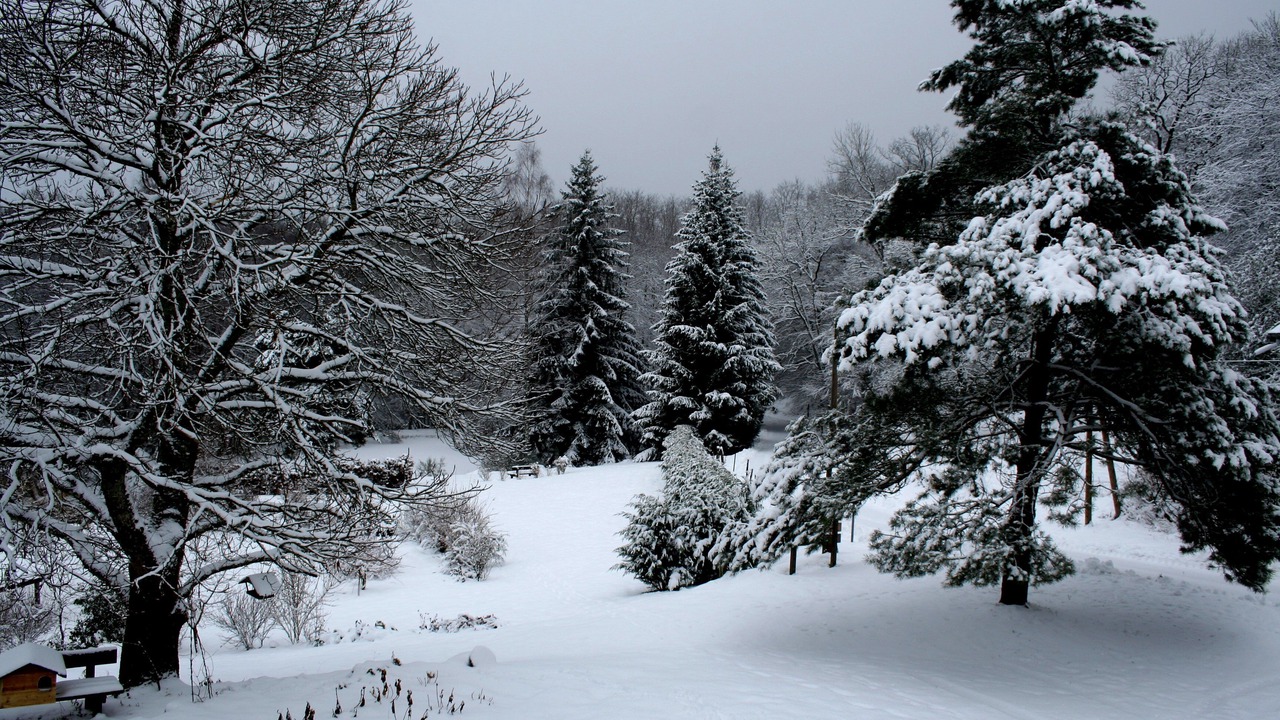 Photo of Others in Le Clerjus