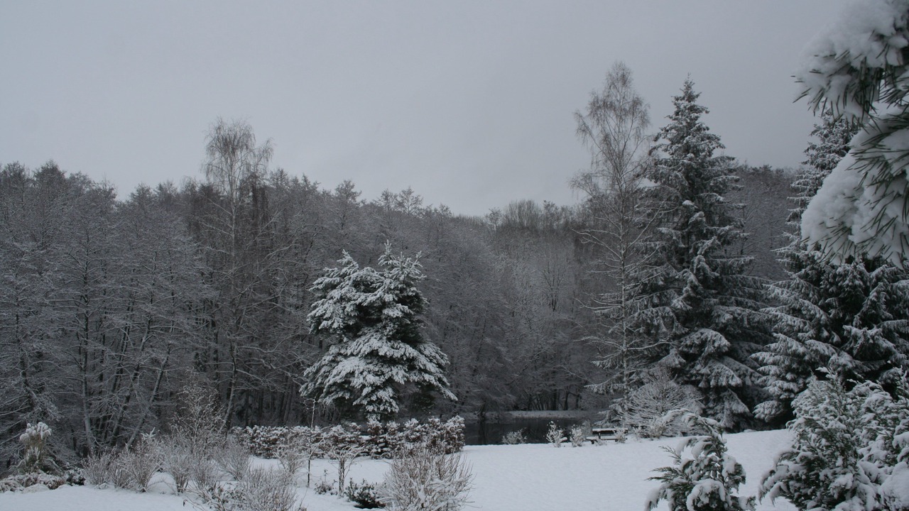 Photo of Outdoor in Le Clerjus