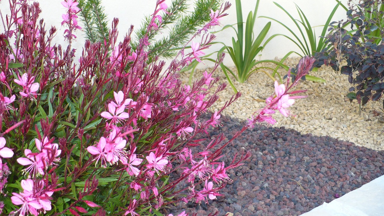 Photo of Outdoor in Visan