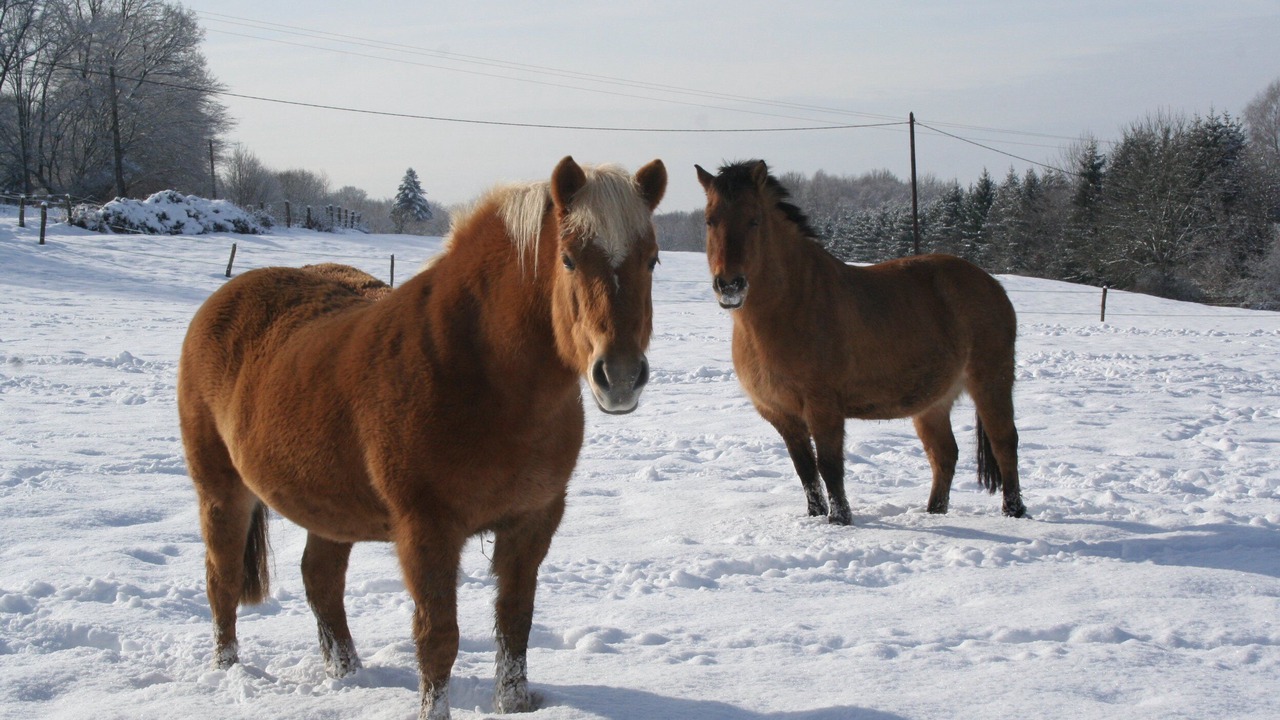 Photo of Others in Le Clerjus