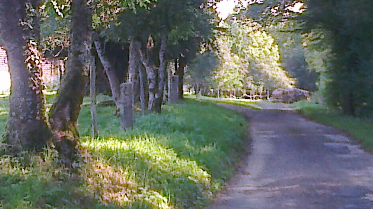 Photo of Outdoor in Landresse