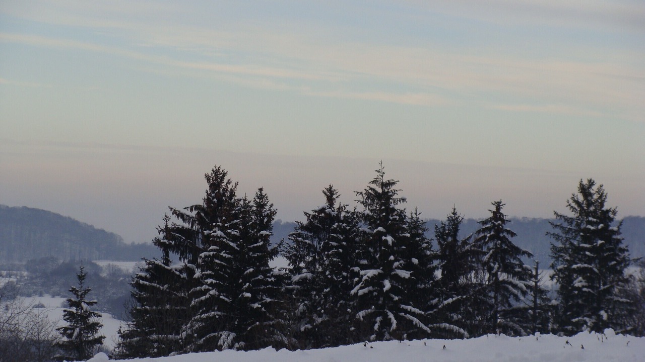 Photo of Others in Landresse