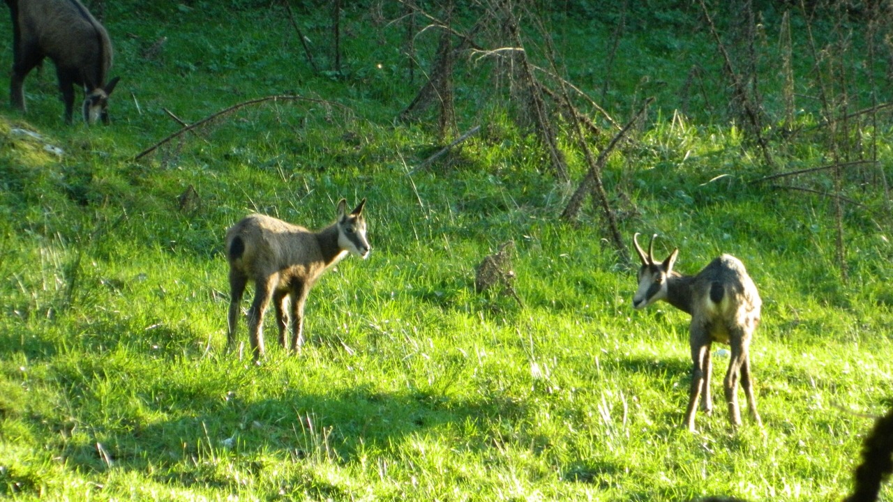 Photo of Outdoor in Landresse
