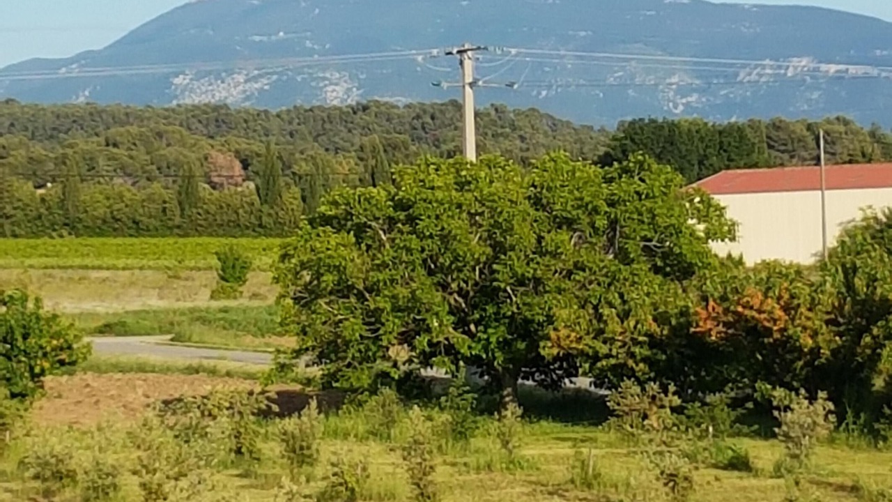 Photo of Others in Vaison-la-Romaine