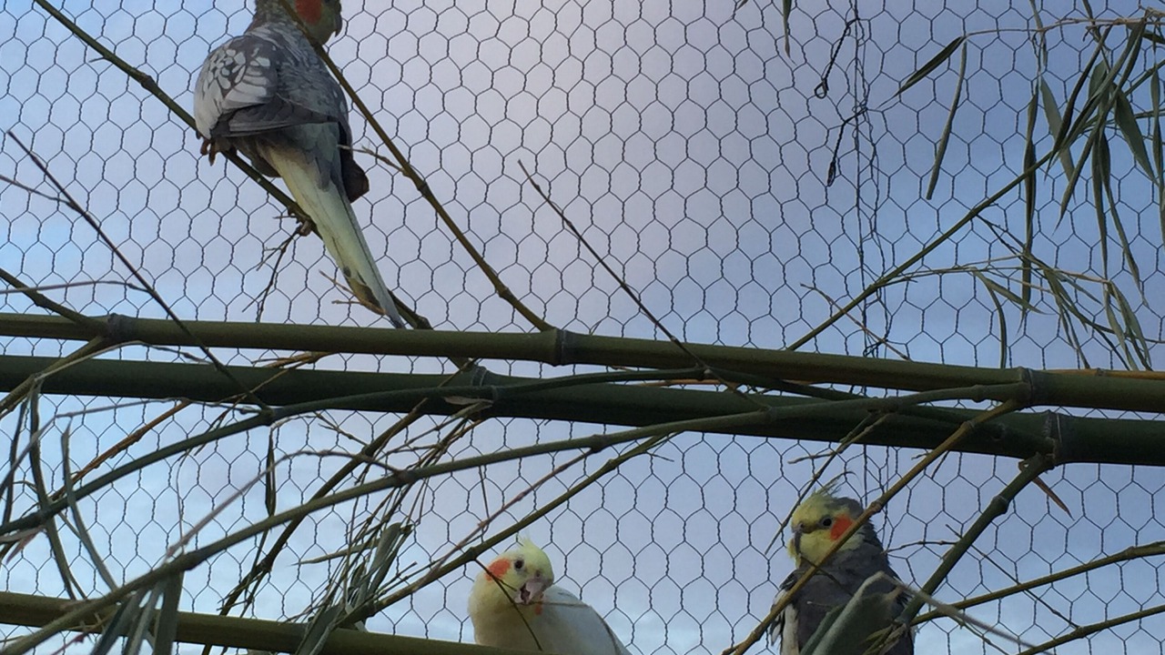 Photo of Others in Montpont-en-Bresse