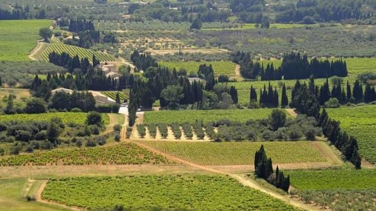 Photo of Outdoor in Malemort-du-Comtat