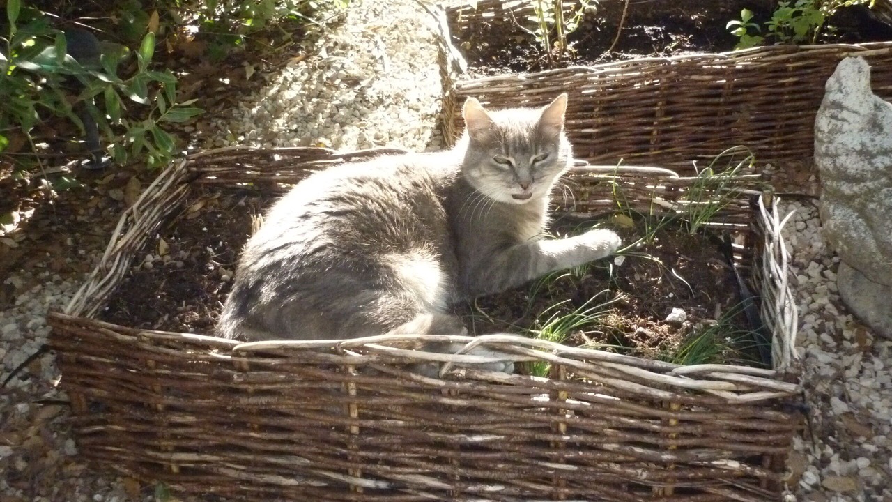 Photo of Outdoor in Malemort-du-Comtat