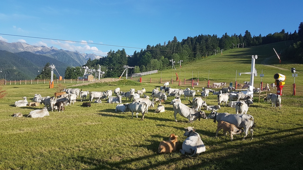 Photo of Others in Ax-les-Thermes