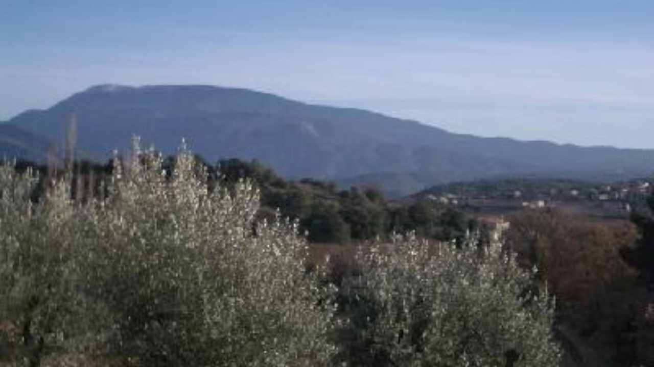 Photo of Others in Puymeras
