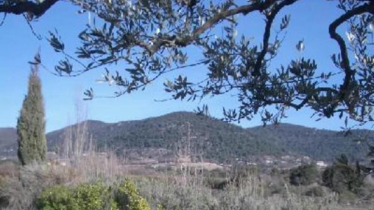 Photo of Others in Puymeras