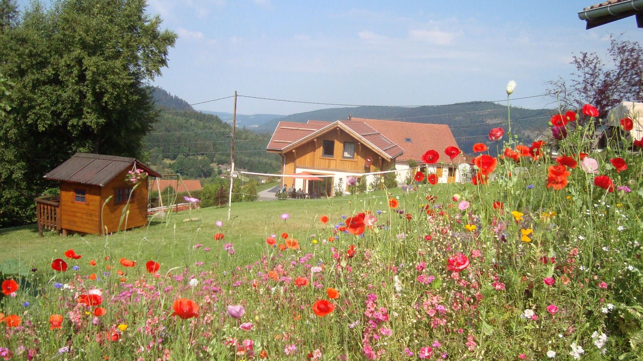 Photo of Outdoor in Gerardmer