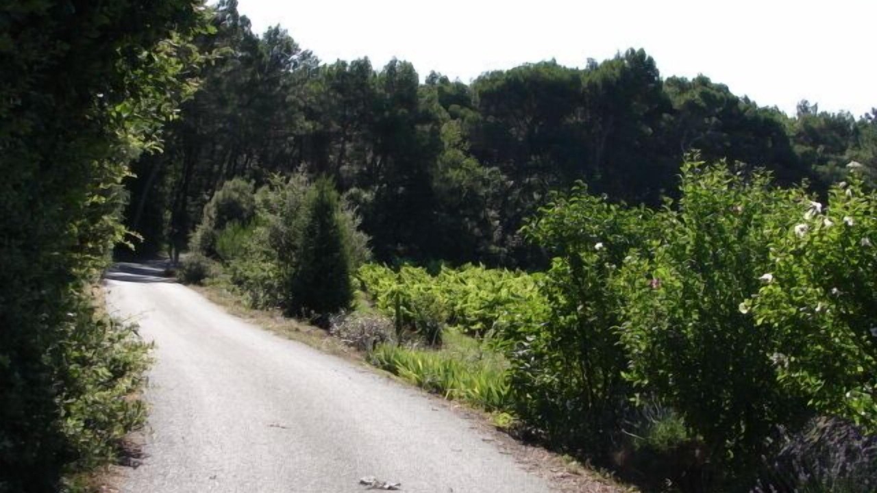 Photo of Outdoor in Bollene
