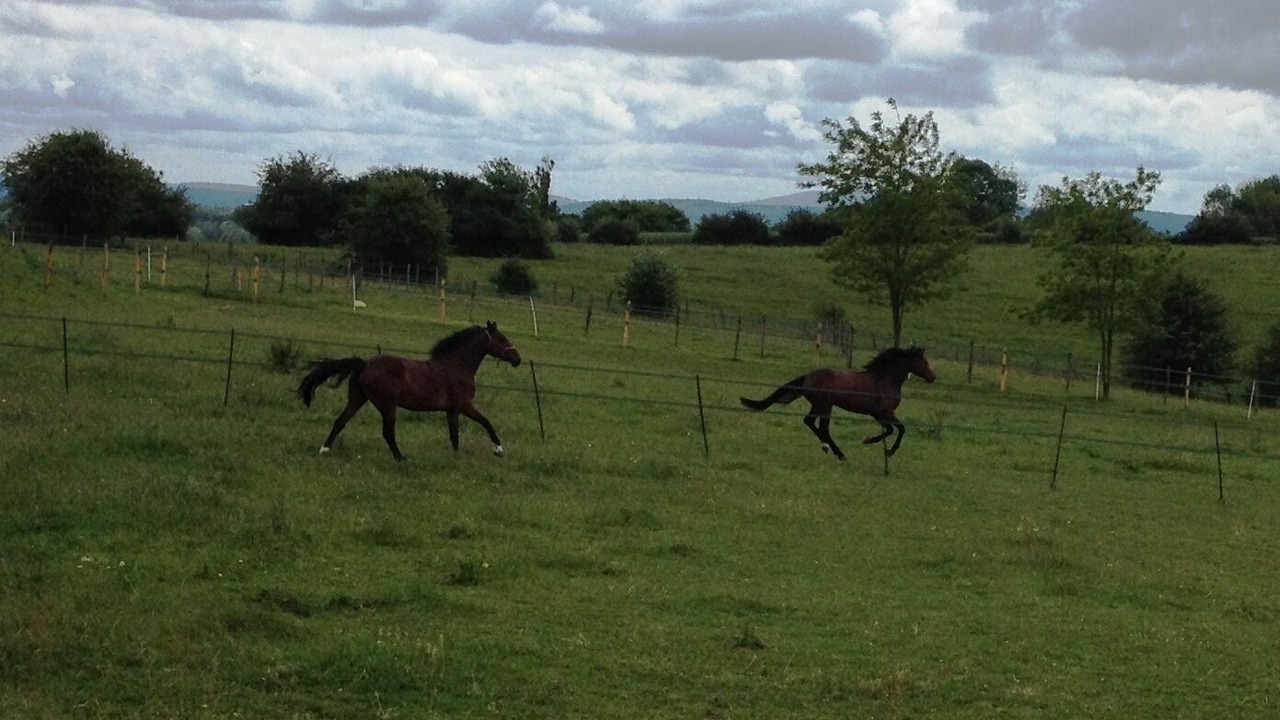 Photo of Outdoor in Dampierre