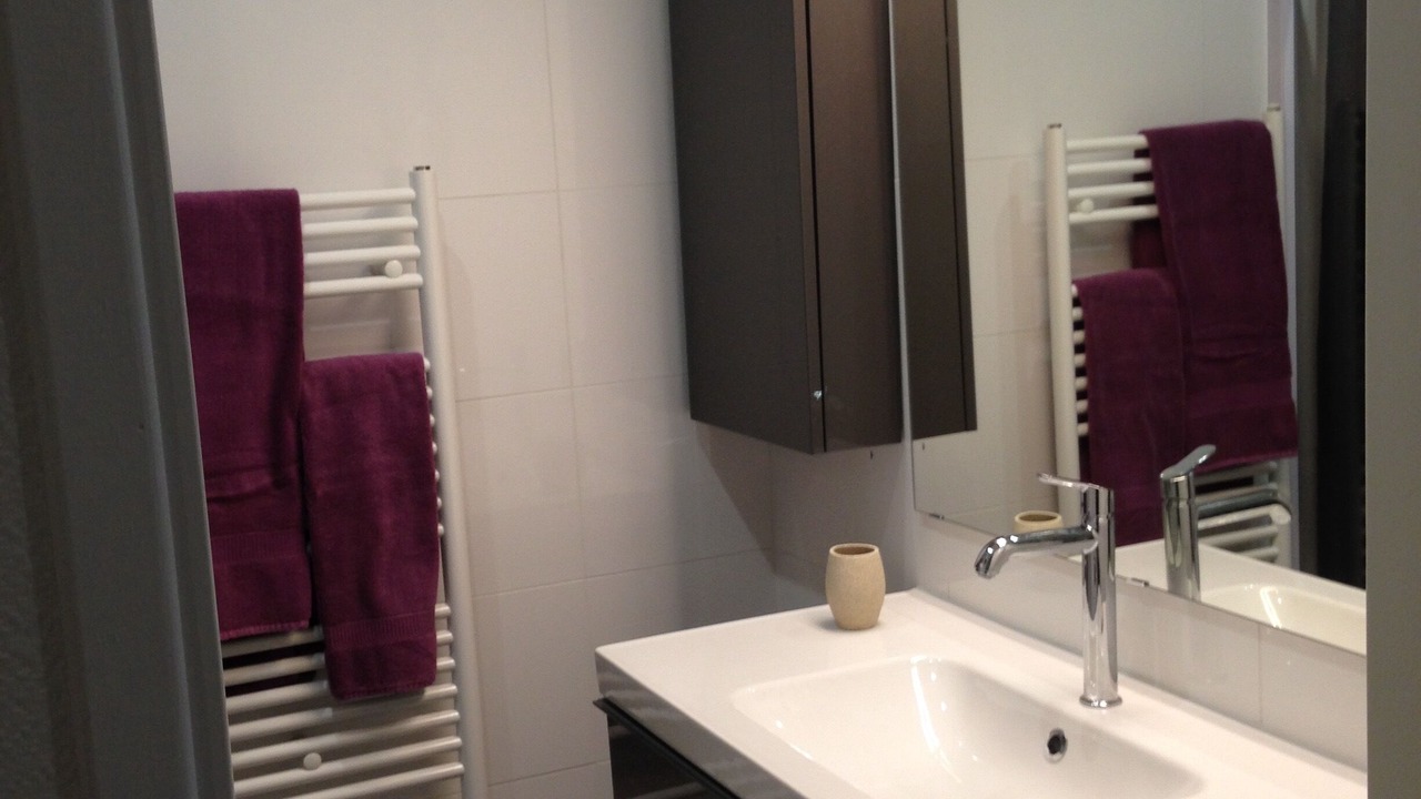 Photo of Bathroom in Aix-les-Bains