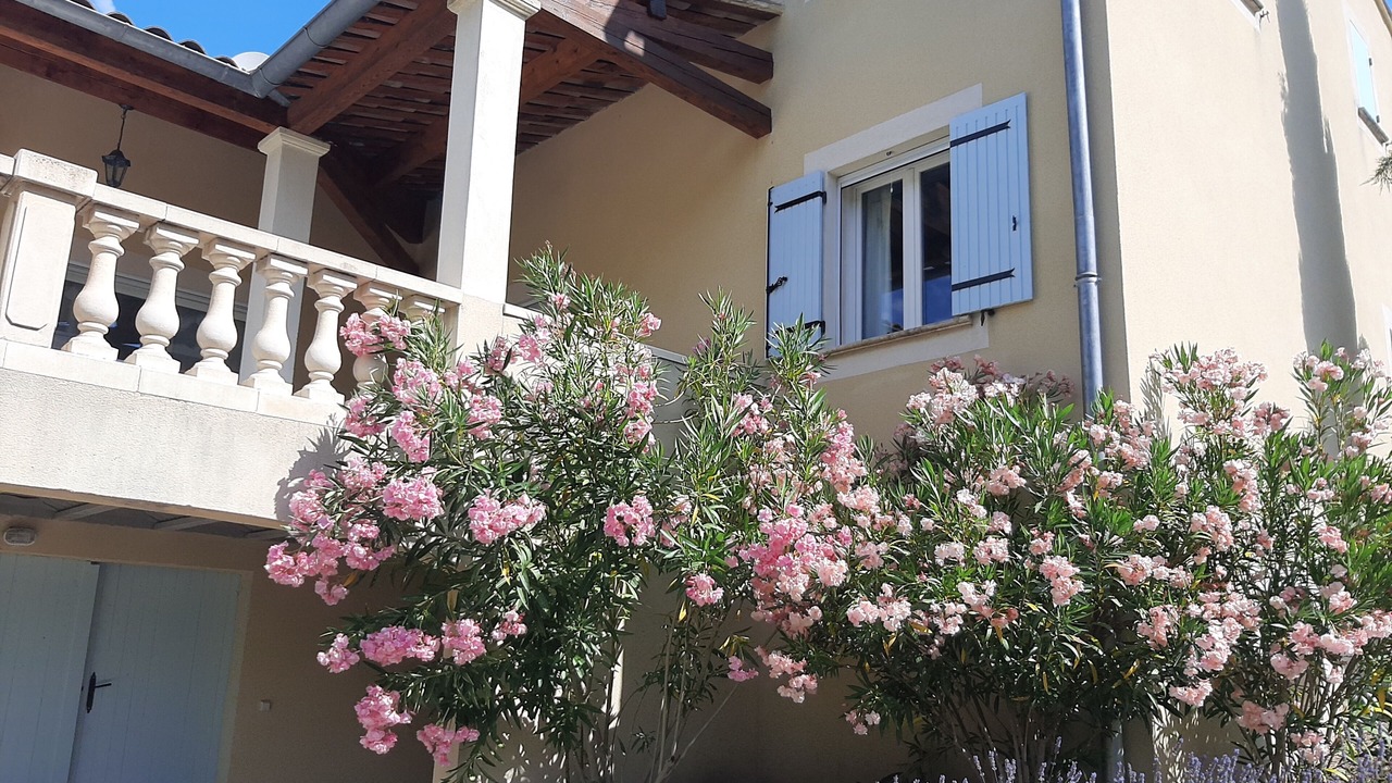 Photo of Outdoor in Buis-les-Baronnies